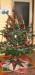  sukýnka pod vánoční stromeček2.jpg